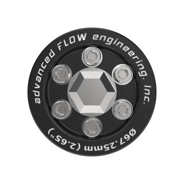 aFe 79-10008