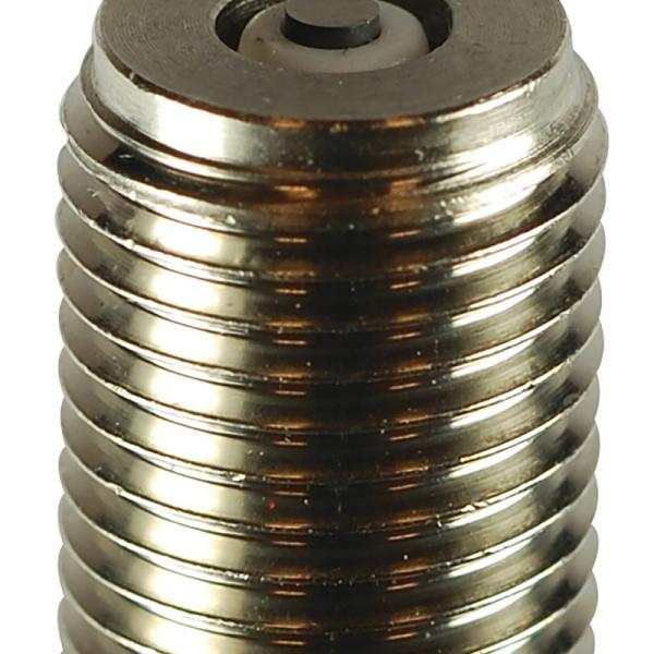 NGK 4216