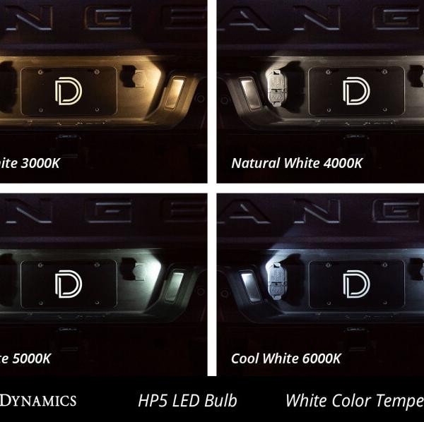 Diode Dynamics DD0031P