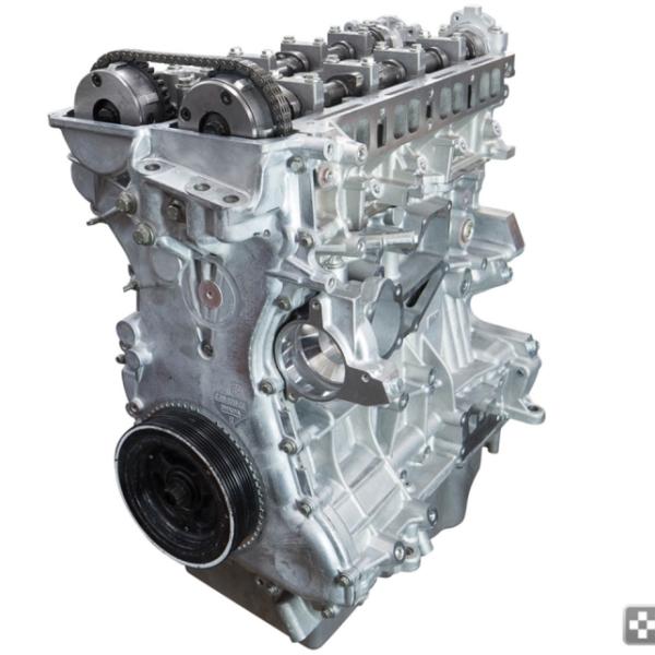 mountune 6069-LB-230