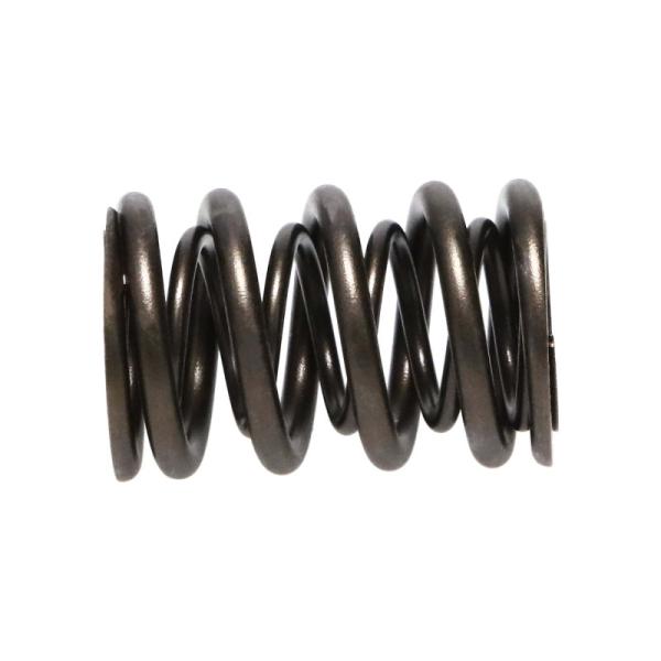MAN Valve Spring Kits Manley Performance 22110-16