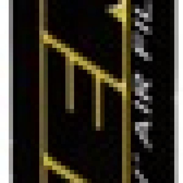 AEM Induction 28-20857