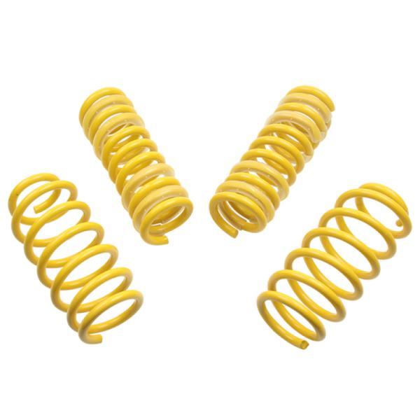 ST Suspensions 65504