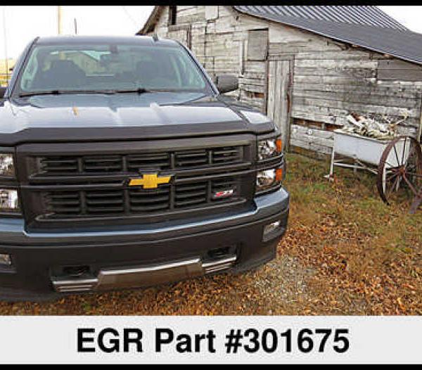 EGR 301675