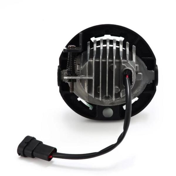 AlphaRex 210006