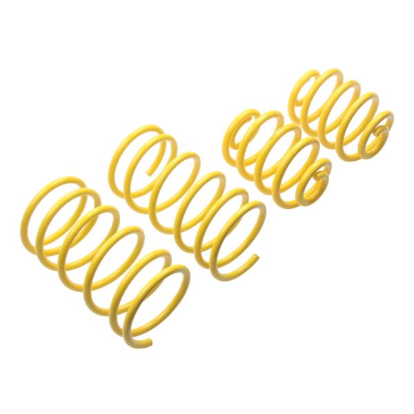 ST Suspensions 65202