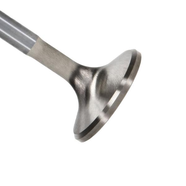 MAN Severe Duty Valves Manley Performance 11703-8