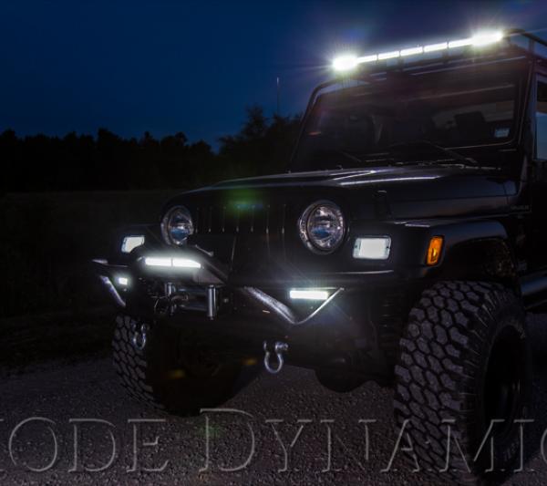 Diode Dynamics DD6033P