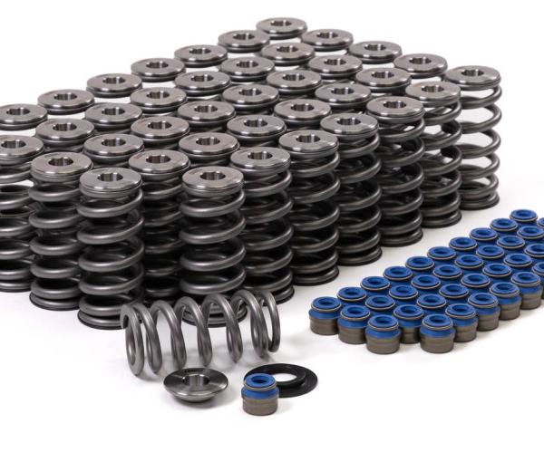 GSC Valve Spring Kits GSC Power Division 5025
