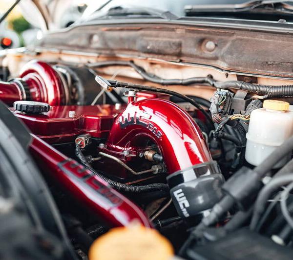 Wehrli WCF100528-IBB