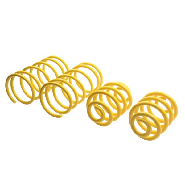 ST Suspensions 65202