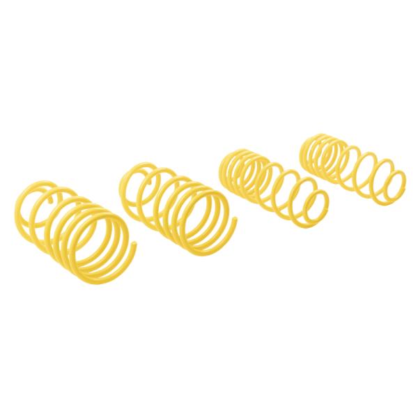 ST Suspensions 66206