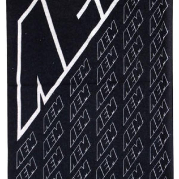 AEM Induction 01-1500