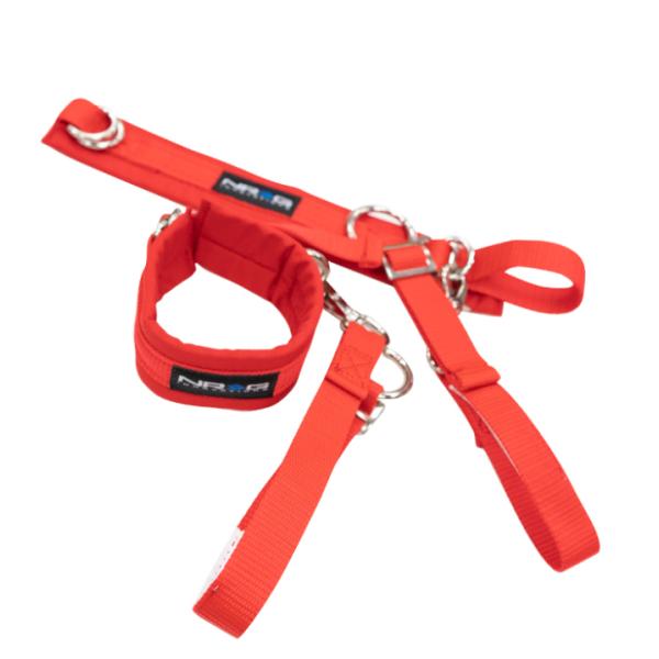 NRG SBH-AR01RD
