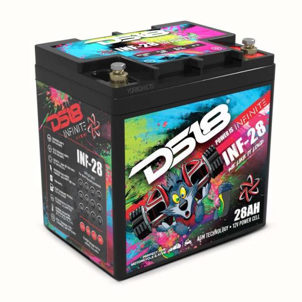 DS18 INF-28