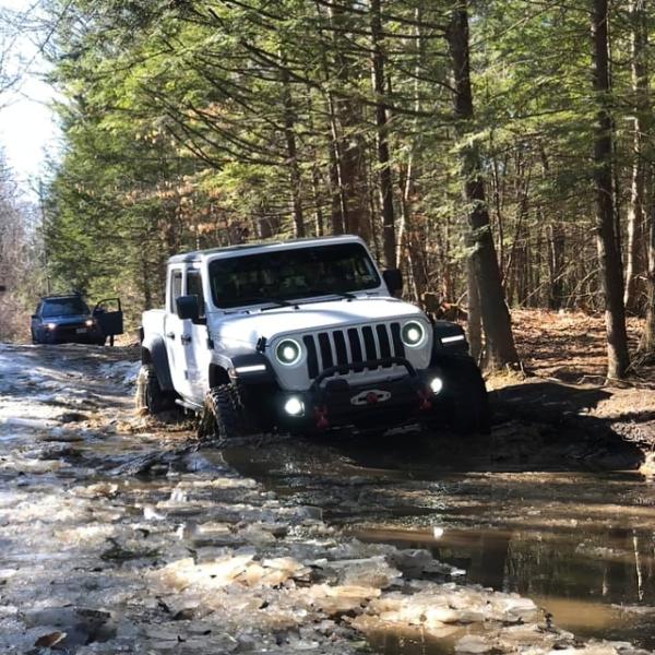 ORACLE Lighting 5839-504-PAU