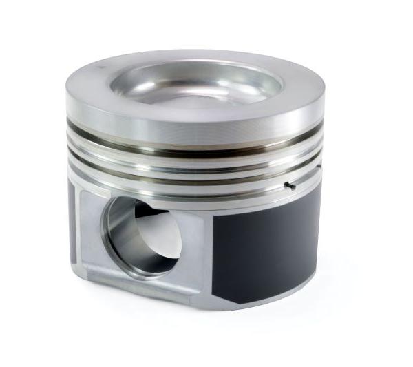 Mahle 930029855