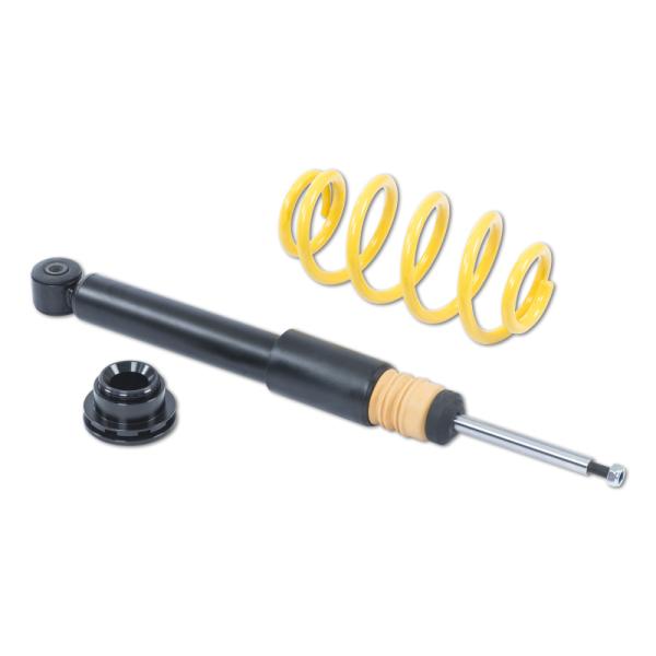 ST Suspensions 13280029