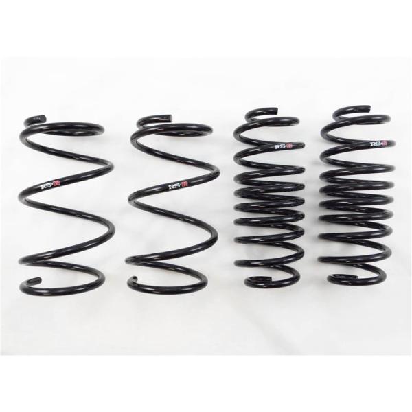 RS-R T085S