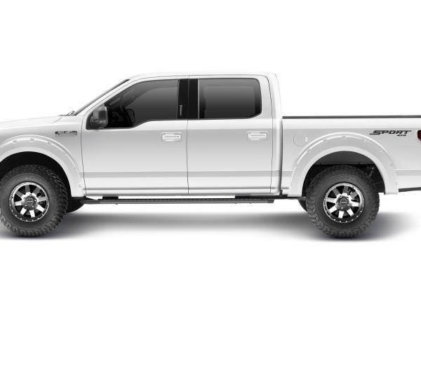 Bushwacker 20945-12