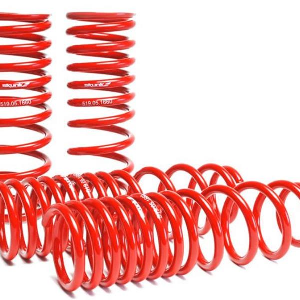 SK Lowering Springs Skunk2 Racing 519-05-1660