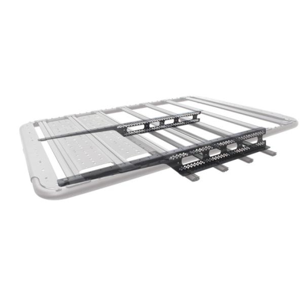 Go Rhino 5950065T
