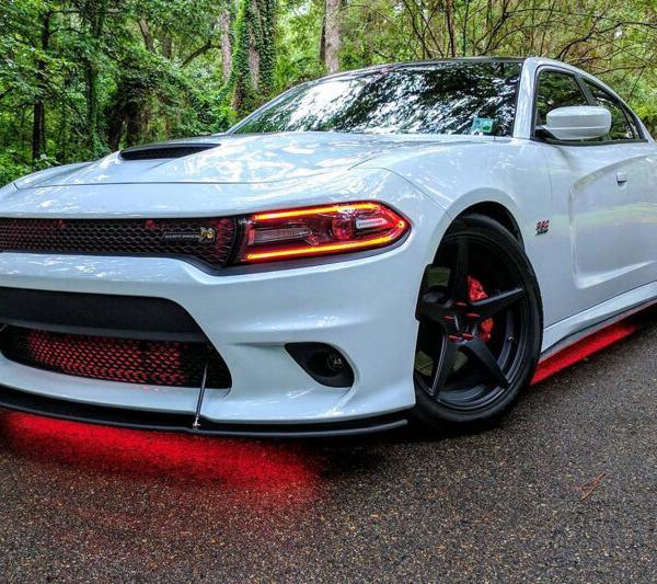 Diode Dynamics DD0442