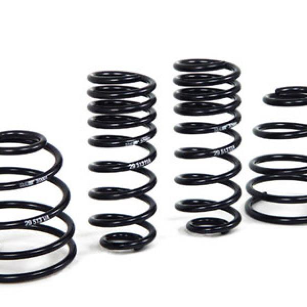 HR Sport Springs H&R 29513
