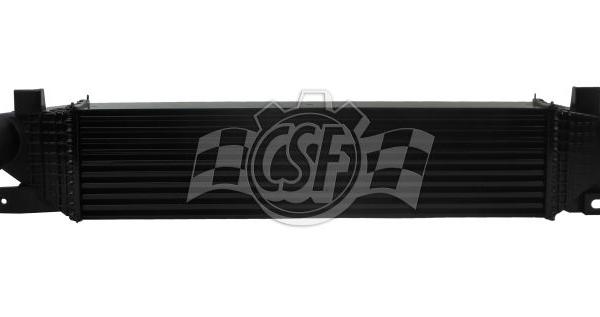 CSF 6069