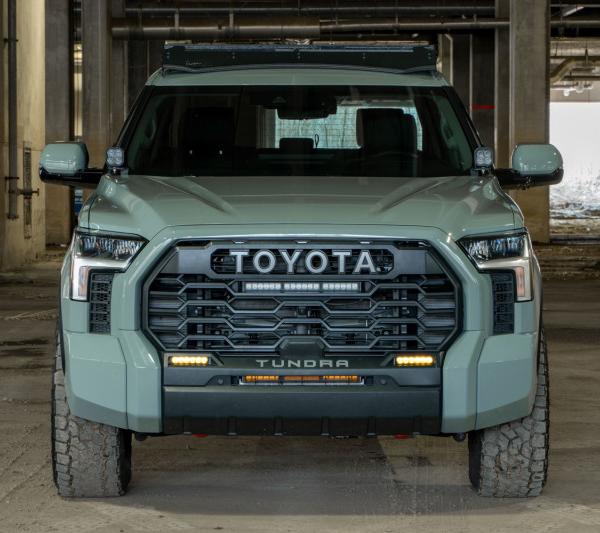 Diode Dynamics DD7417P