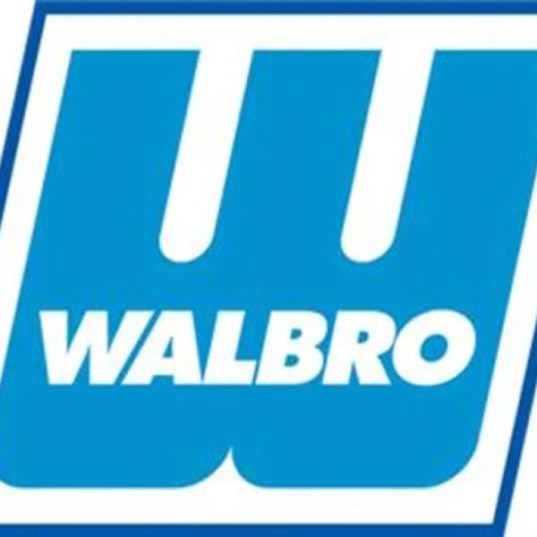 Walbro F10000376