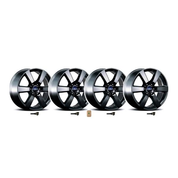 Ford Racing M-1007K-P20XB