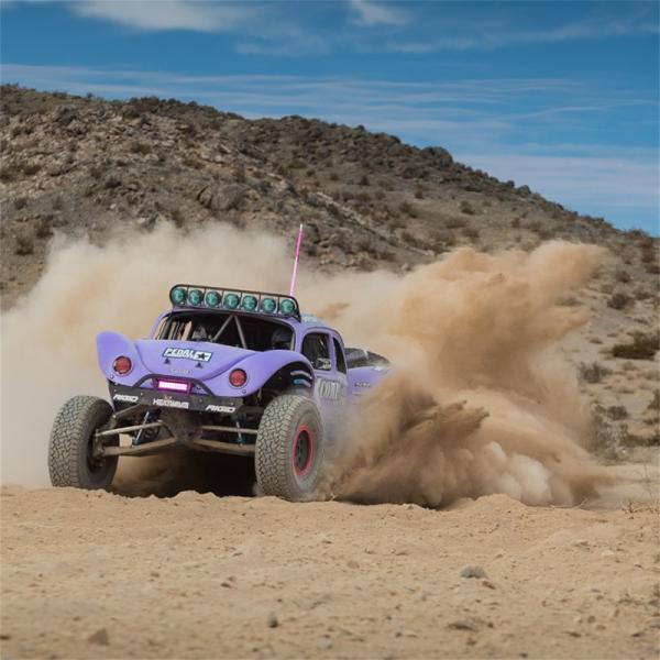 Rigid Industries 36117-SHREDDY