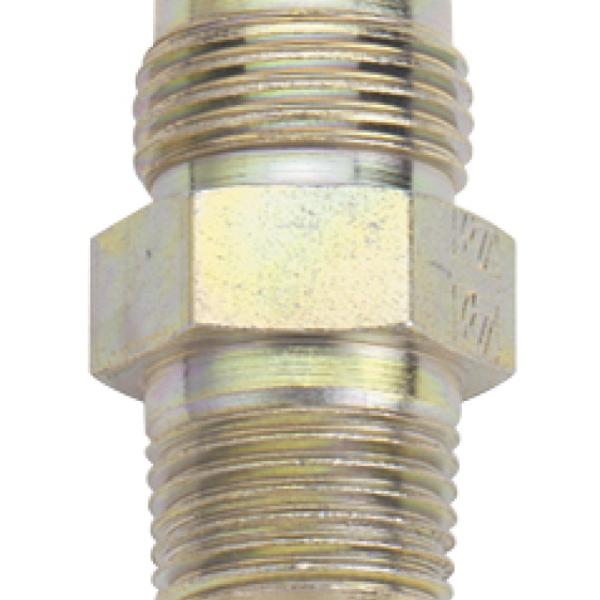 Fragola 581603