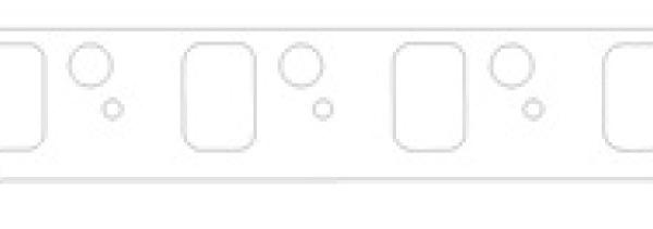 CG Intake Gaskets Cometic Gasket C5421-060