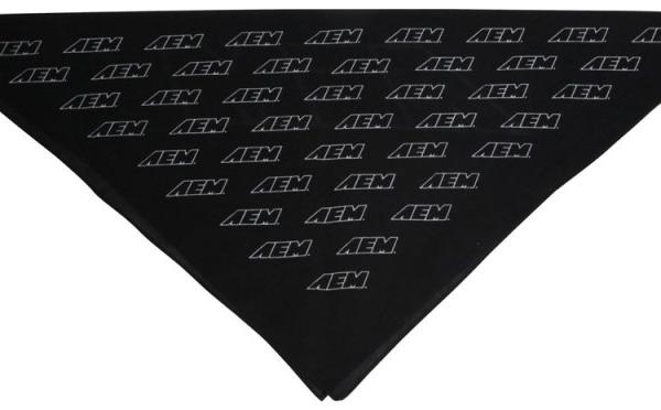 AEM Induction 01-1501