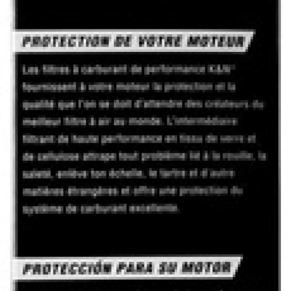 K&N Engineering PF-2300