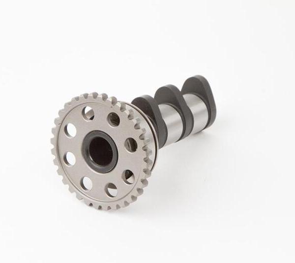 HDS Misc Powersports Hot Cams 4089-2IN