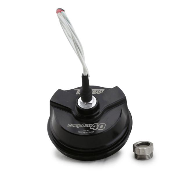 Turbosmart TS-0550-3022