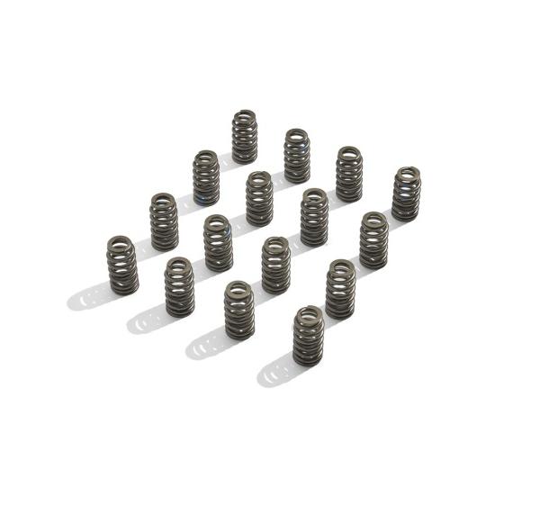 FR Valve Spring Kits Ford Racing M-6513-M50BR