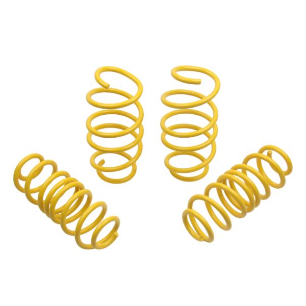 ST Suspensions 65822
