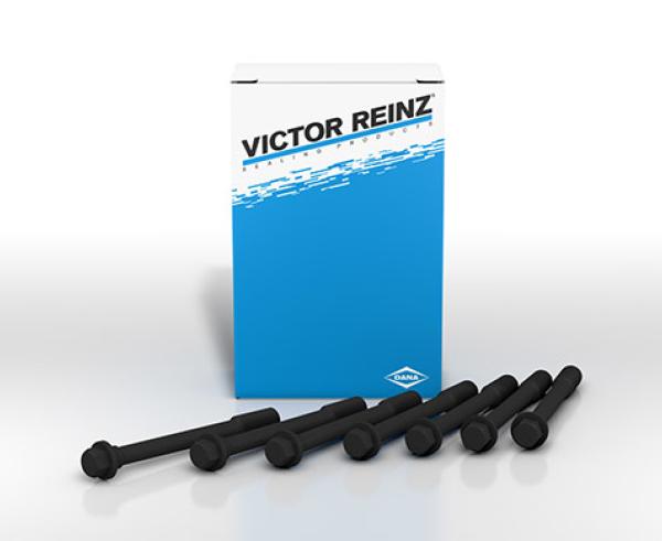 Victor Reinz GS33839