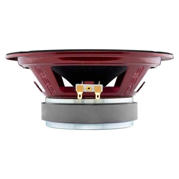 DS18 PRO-X8.4RGBCAP