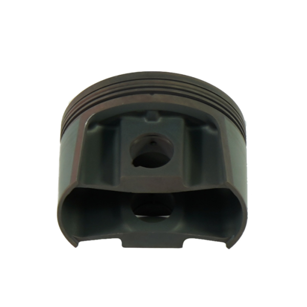 Mahle 930208255-1
