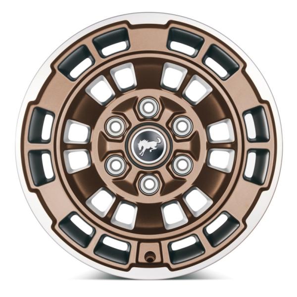 Ford Racing M-1007K-P1785BRN