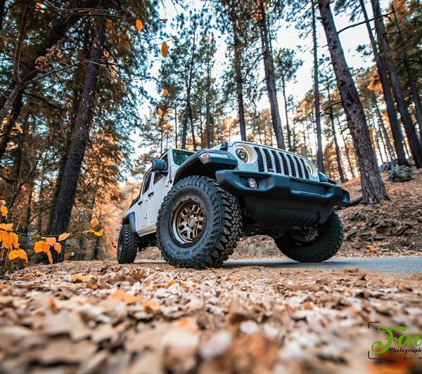 ORACLE Lighting 5839-504-PAU