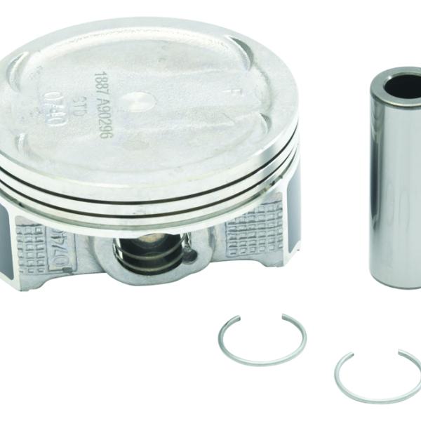 Vertex Pistons 24487B