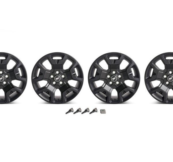 Ford Racing M-1007K-S17BSB