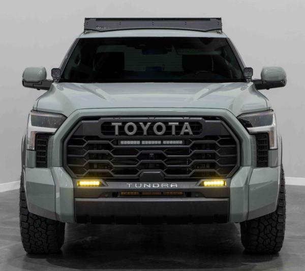 Diode Dynamics DD7417P