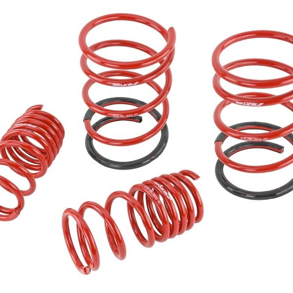 SK Lowering Springs Skunk2 Racing 519-05-1570
